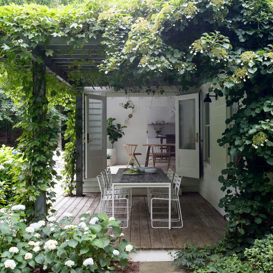 Outdoor Dining in Yard
